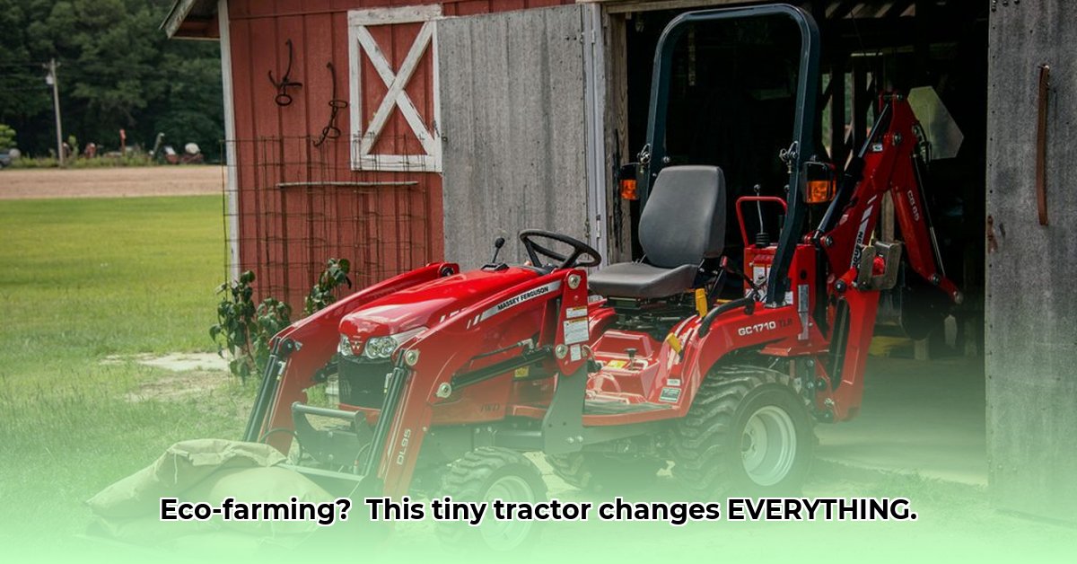 small-massey-ferguson-tractor